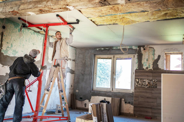 Best Insulation Maintenance and Repair in Landrum, SC