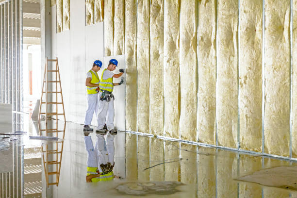 Best Residential Insulation in Landrum, SC